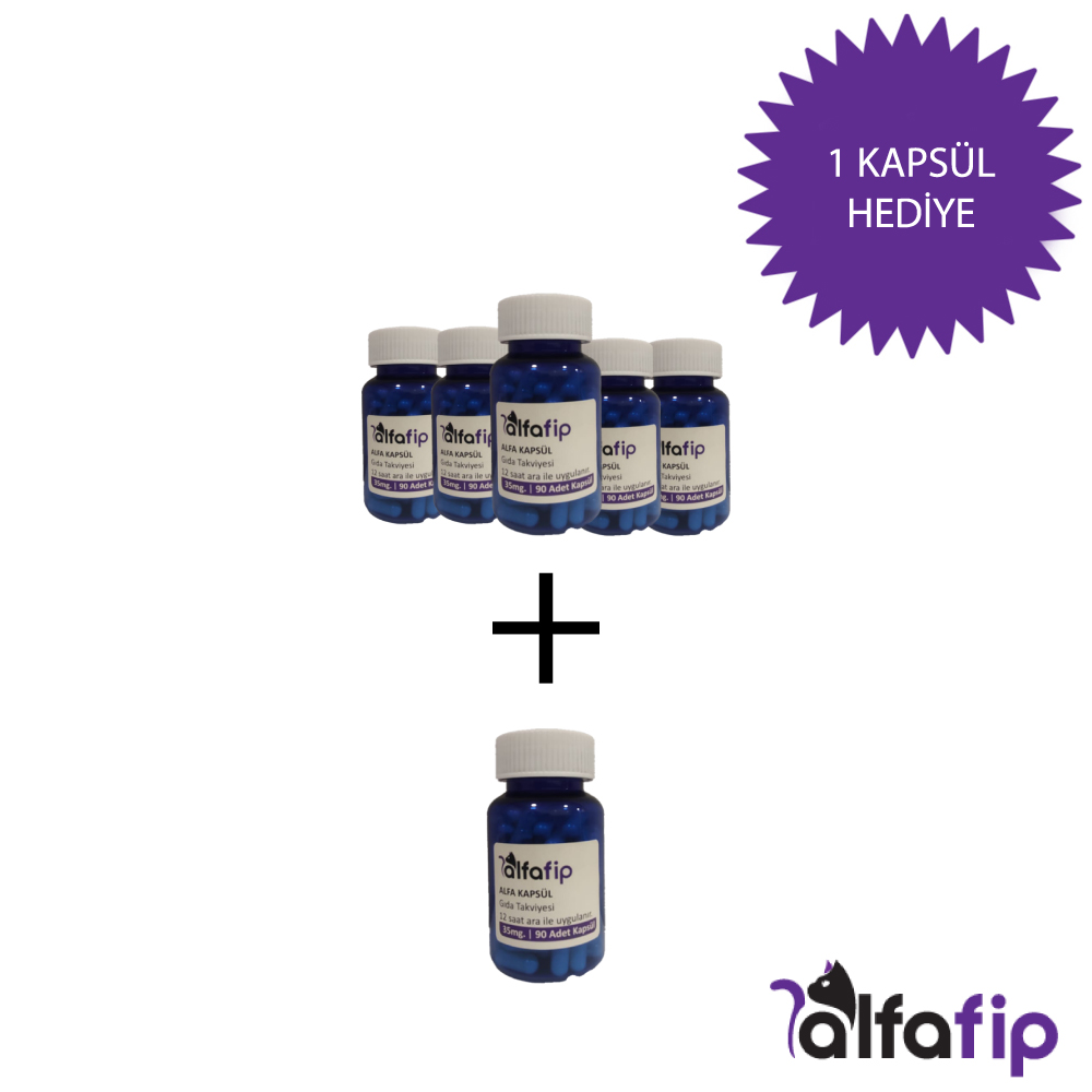 5+1 Oral Kapsül Fip İlacı