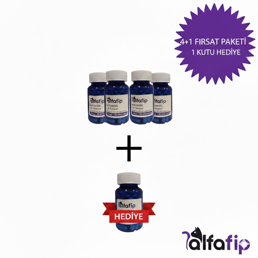4+1 Oral Kapsül Fip İlacı